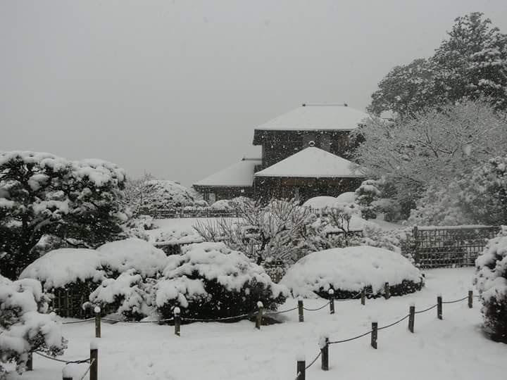 http://www.nipponnosake.com/kura/images/hyakusai_1_snow_brewery.jpg